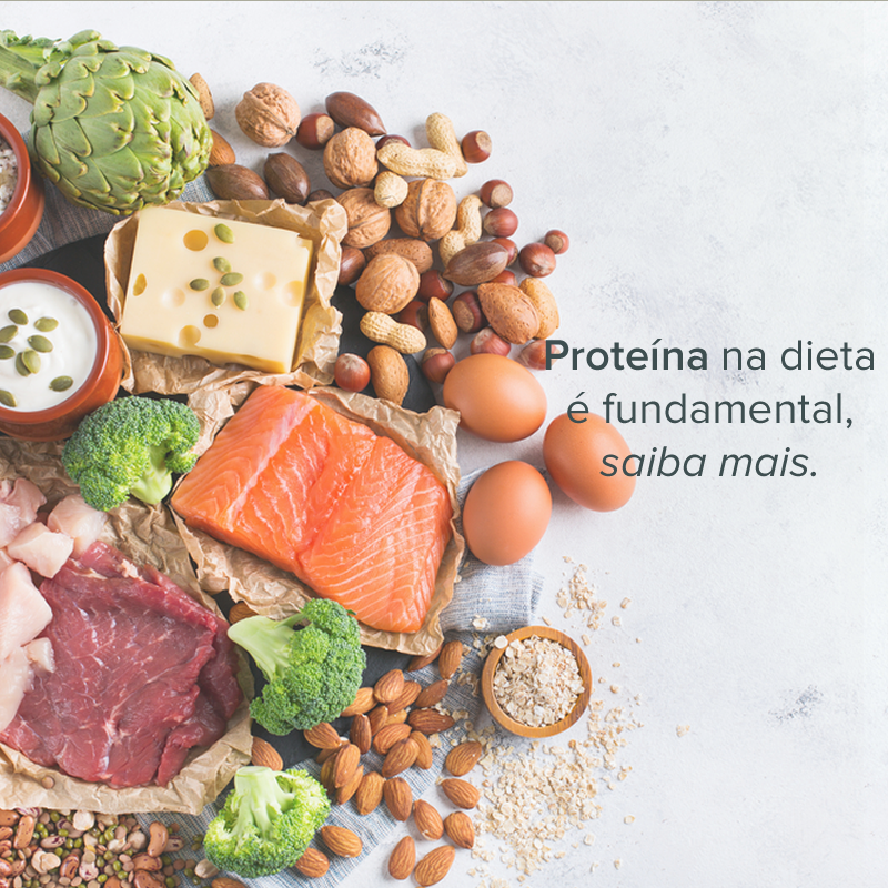 Proteína na dieta é fundamental